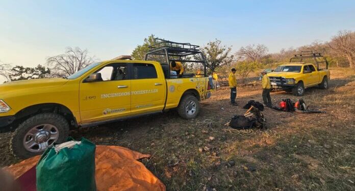 Continúan luchando contra incendio forestal en Arivechi