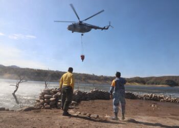 Mantiene CEPC combate intensivo contra incendio forestal en Tarachi