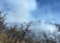Incansable esfuerzo de más de 100 combatientes forestales en la atención al incendio forestal en Tarachi
