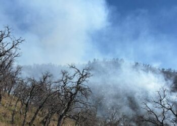 Incansable esfuerzo de más de 100 combatientes forestales en la atención al incendio forestal en Tarachi