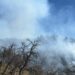 Incansable esfuerzo de más de 100 combatientes forestales en la atención al incendio forestal en Tarachi