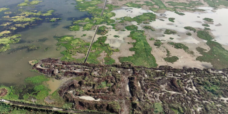 Ven impacto ambiental en todo el Valle de México con El Caracol