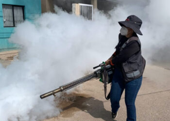 Salud Sonora fortalece la prevención y control del dengue