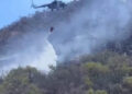 Alcanzan 70 por ciento de control en incendio forestal