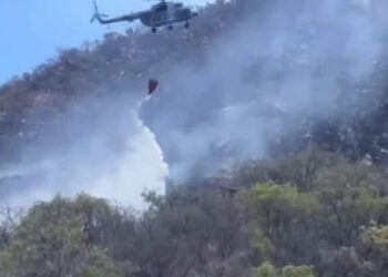 Alcanzan 70 por ciento de control en incendio forestal