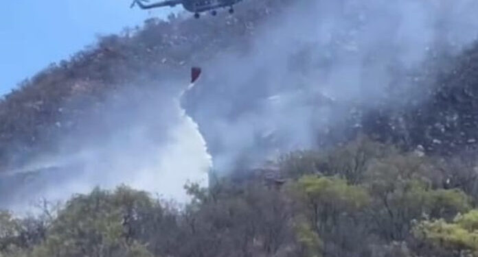 Alcanzan 70 por ciento de control en incendio forestal