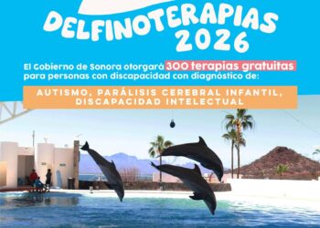 *Abre Gobierno de Sonora convocatoria para Delfinoterapias 2026*