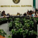 Da el INE su aval a dos nuevos partidos políticos