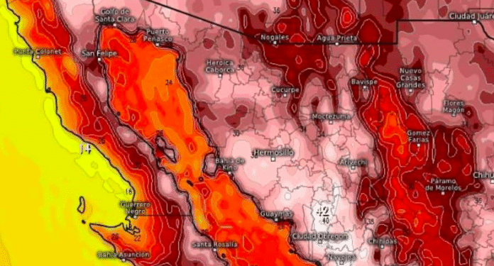 Se esperan hoy temperaturas máximas entre los 40°C a los 45°C