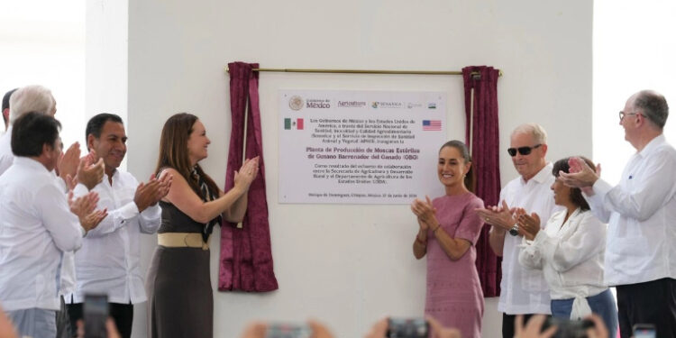 Sheinbaum es «una socia extraordinaria» con Estados Unidos: Brooke Rollins