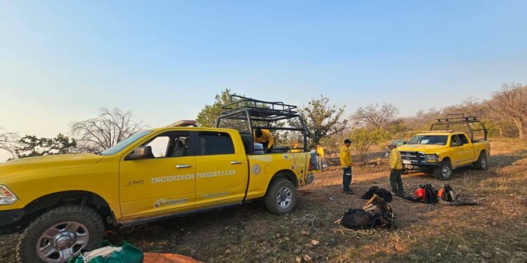 *Se fortalecen acciones de combate al incendio forestal en Tarachi*