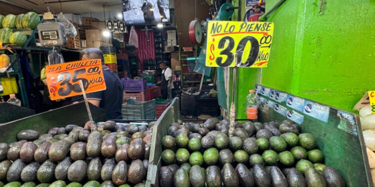 Inflación se desacelera a 3.55% en la primera quincena de junio: Inegi