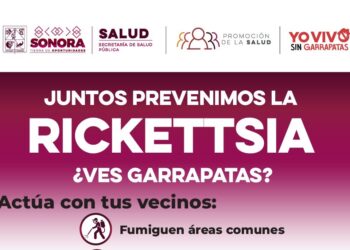 Exhorta Salud Sonora a reforzar limpieza en temporada de calor para prevenir rickettsia