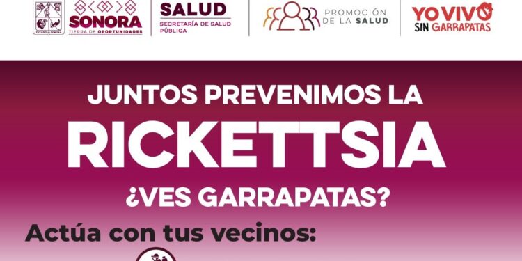 Exhorta Salud Sonora a reforzar limpieza en temporada de calor para prevenir rickettsia