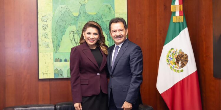 Lorenia Valles solicita licencia como senadora de la República