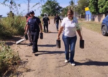 *Impulsa Jornada Permanente por la Paz la recuperación de espacios públicos en el Campo 5*
