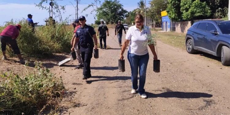 *Impulsa Jornada Permanente por la Paz la recuperación de espacios públicos en el Campo 5*