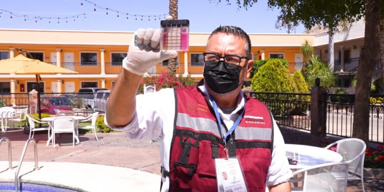 Mantiene Coesprisson vigilancia sanitaria en playas y albercas de Sonora