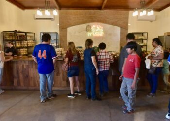 Invitan a recorridos históricos del HBus durante este periodo vacacional