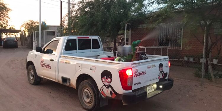 Atiende Salud Sonora de manera inmediata situación derivada de lluvias en Nogales