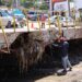 Refuerzan limpieza en zonas afectadas