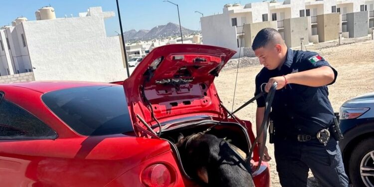Unidad K-9 fortalece operativos de la Policía Estatal y la detención de objetivos prioritarios