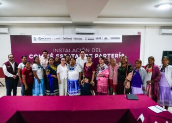 Instala Salud Sonora Comité Estatal de Partería para fortalecer la atención materna