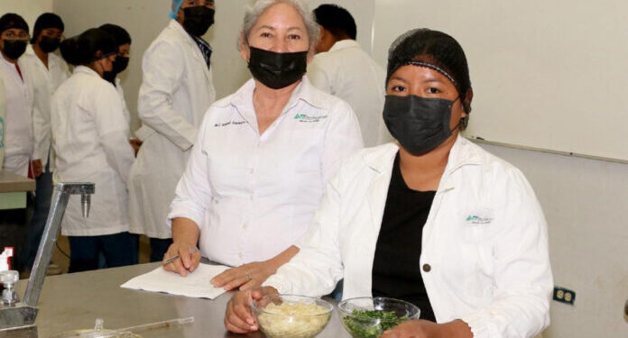 Desarrollan investigación sobre el aprovechamiento de la semilla de Palo Verde