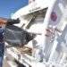 Mantendrá Hermosillo servicio regular de recolección de basura en día inhábil
