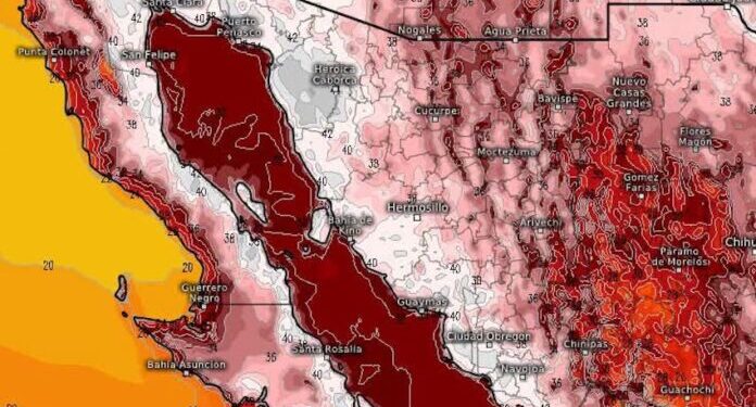 Ambiente extremadamente caluroso para este jueves en Sonora