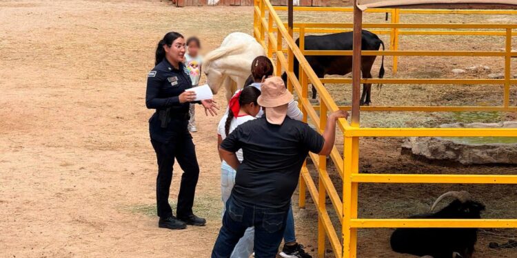 Incrementa Policía Estatal acciones de proximidad ciudadana durante el verano*