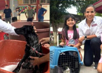 EN CAJEME CADA VEZ SE TIENEN MÁS CONCIENCIA SOBRE EL CUIDADO Y BIENESTAR ANIMAL: ANABEL ACOSTA