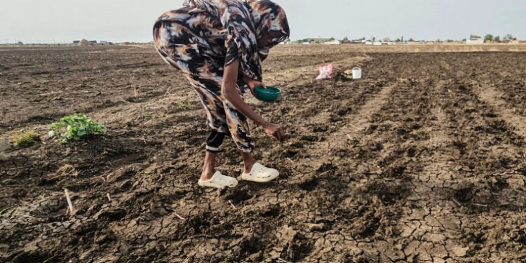 JPMorgan advierte que un “súper” El Niño y una crisis del crudo amenaza con impulsar inflación mundial