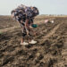 JPMorgan advierte que un “súper” El Niño y una crisis del crudo amenaza con impulsar inflación mundial