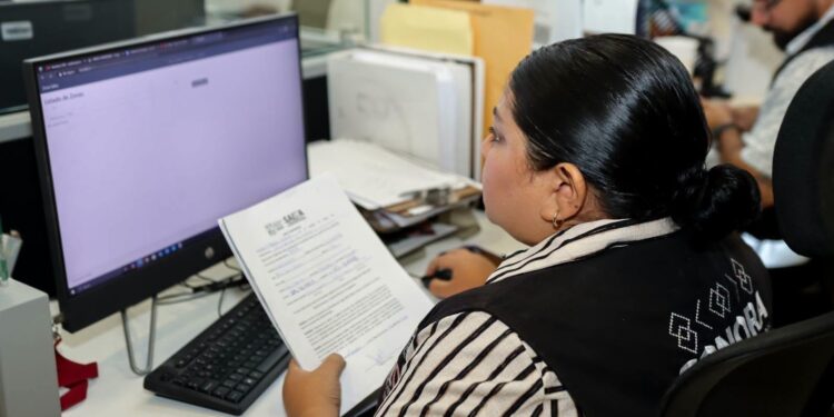 Reportar la violencia familiar y de género a la línea 9-1-1 puede hacer la diferencia*