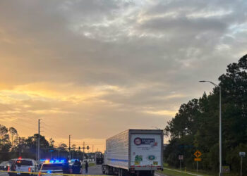 Mexicano muere atropellado al huir de un operativo del ICE en Florida: ‘Se atravesó corriendo’