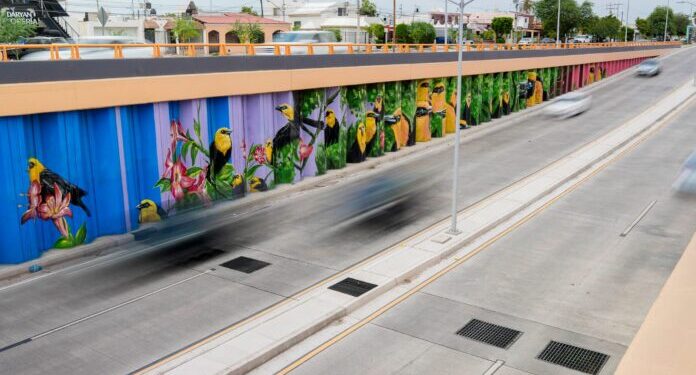 Mural en paso a desnivel de Colosio y Solidaridad es espacio de expresión cultural: Toño Astiazarán