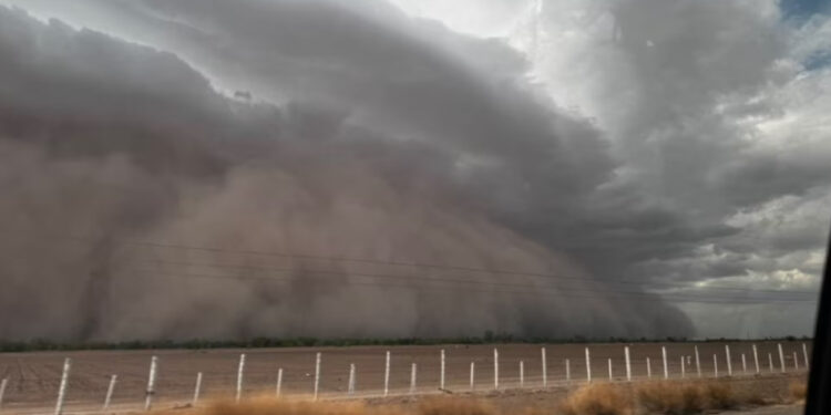 Sonora: tormenta de arena sorprende a habitantes de Hermosillo