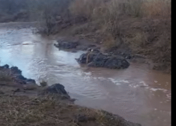 Quiriego y Ures, municipios con las lluvias más importantes en las últimas horas