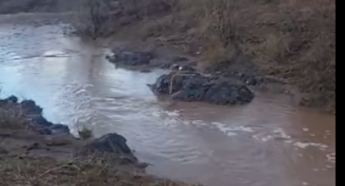Quiriego y Ures, municipios con las lluvias más importantes en las últimas horas