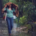 Se mantienen protocolos preventivos y de atención en 12 estados por persistencia de lluvias fuertes: Protección Civil
