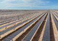 Entran en operación al 100% dos etapas de la planta solar más grande de Latinoamérica