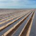 Entran en operación al 100% dos etapas de la planta solar más grande de Latinoamérica
