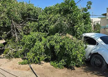 Atiende 52 reportes de daños por lluvia y viento; Personal de Protección Civil Municipal