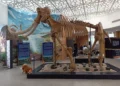 Reabren museo de vestigios arqueológicos en Ecatepec