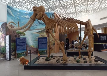 Reabren museo de vestigios arqueológicos en Ecatepec