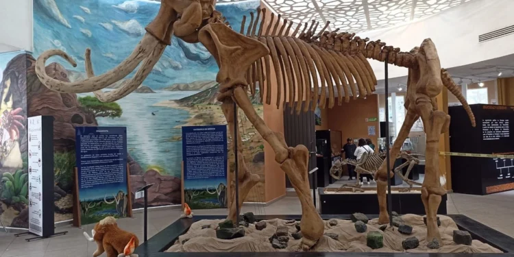 Reabren museo de vestigios arqueológicos en Ecatepec