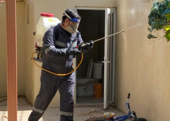 Llaman a la población a recordar que las campañas de prevención contra el dengue y la rickettsia son gratuitas