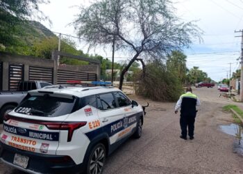 Atiende Gobierno Municipal reportes por lluvias y fuertes vientos