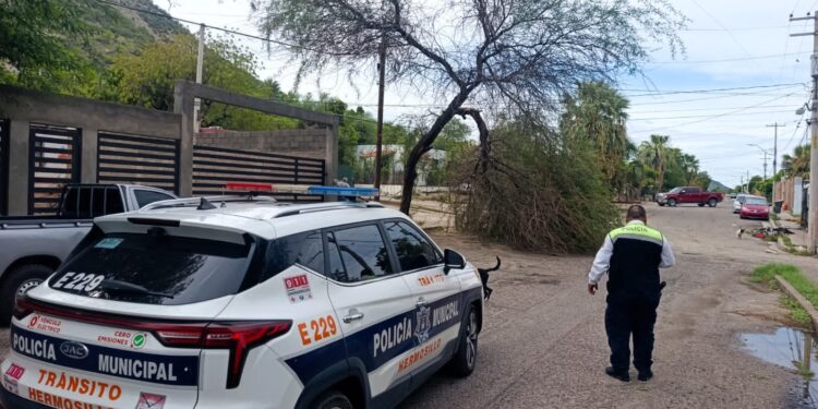 Atiende Gobierno Municipal reportes por lluvias y fuertes vientos